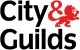 City & Guilds Qualified Engineers